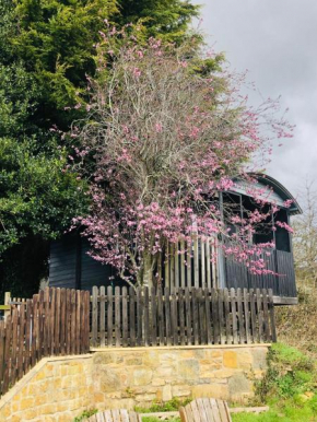 The Cherry Tree Gypsy Wagon